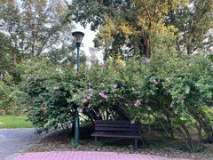 -国家植物园南园