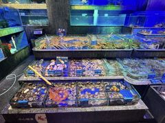 -青蓬蒸汽海鲜·深圳老字号·团建聚会(壹方城店)