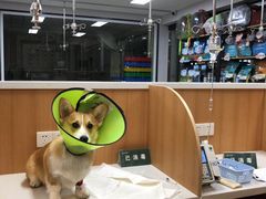 -联合动物医院(光谷诊疗中心)