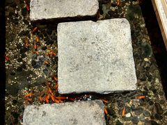 -邈墨茶馆(凤起路店)