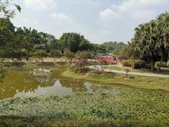 -东莞植物园