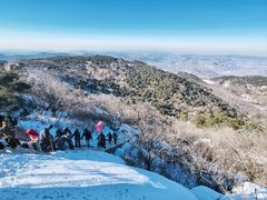 -鲁山国家森林公园