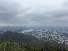-紫金山山顶公园