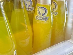 北冰洋精制桔汁汽水-百年义利(北兴路店)