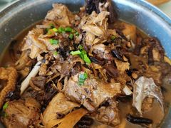 -食家鸽园