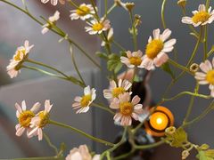 -Cooking Man(中懋天地店)