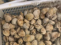 -和源祥·日照菜扛把子(万平口一店)