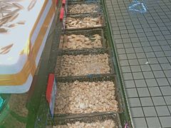 -海鲜e族(马王堆店)