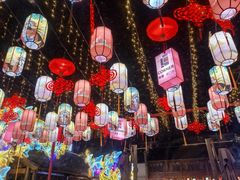 -童福兴·南京菜(老门东店)