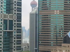 -上海市东方医院(总院)