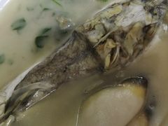 养颜白汁河豚-肆月河豚·新淮扬(金融街店)