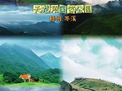 -天龙顶山地公园