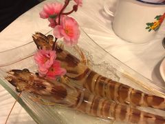 花竹虾-鲜入围煮花胶鸡海鲜火锅