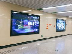 -杨柳河(地铁站)