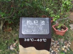 -龙佳生态温泉山庄