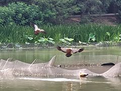 -北京动物园-畅观楼
