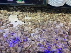 -千百叶海鲜自助餐厅(万达广场店)