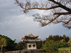 -江心屿景区