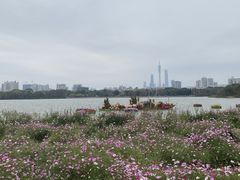 -海珠湖公园
