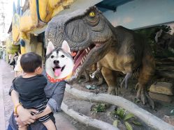 -宝燕乐园(闵行旗舰店)