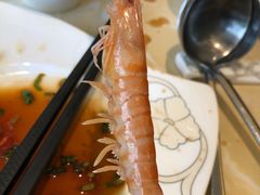 -澳门豆捞(裕华东路店)