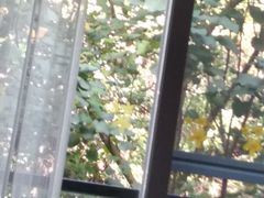 -东莞塘厦三正半山酒店-沙利文西餐厅