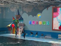 -蓬莱欧乐堡海洋极地世界