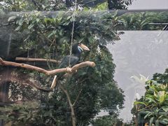 -上方山森林动物世界