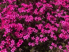 -昆嵛山石门里景区