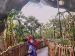 -七彩云南欢乐世界