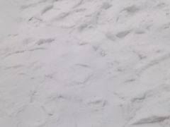 -广州热雪奇迹