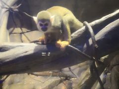 -波塞冬旅游度假区