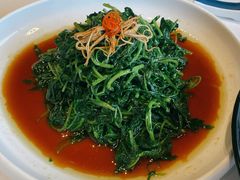 南京菊花脑-民国红公馆·秦淮八艳(夫子庙店)