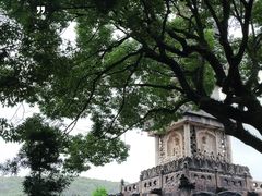 -普陀山风景名胜区-法雨禅寺