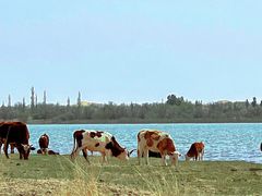 -亿利库布其七星湖沙漠生态旅游区