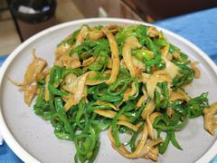 -丁老爷子苏香圆