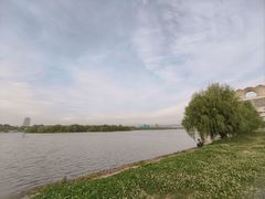 -灞河西岸滨河公园