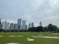 -万绿园