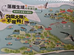 -东湖落雁景区