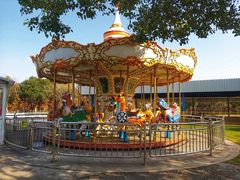 -上海海湾国家森林公园