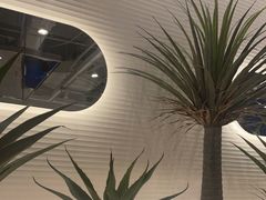 -兰湘子·湘菜小炒(崂山丽达店)