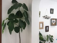 -AHAVA·Fang Baking Studio