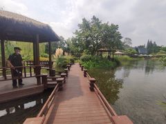 -成飞公园