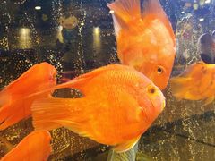 -海底捞火锅(上元大街店)