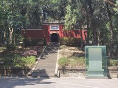 -子昂故里文化旅游区