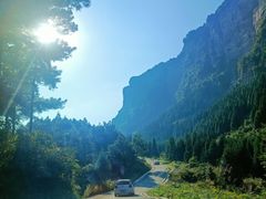 -重庆睡佛山森林公园