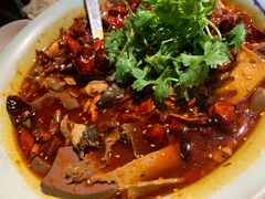 毛血旺-辛香汇(飞洲店)