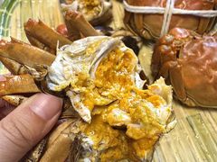 -蟹天蟹地农家菜·阳澄湖大闸蟹(浅水湾店)
