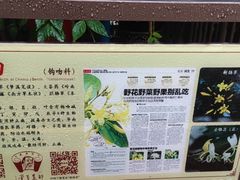 -广州神农草堂中医药博物馆