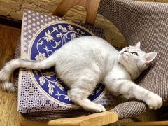 -不舍昼夜咖啡馆